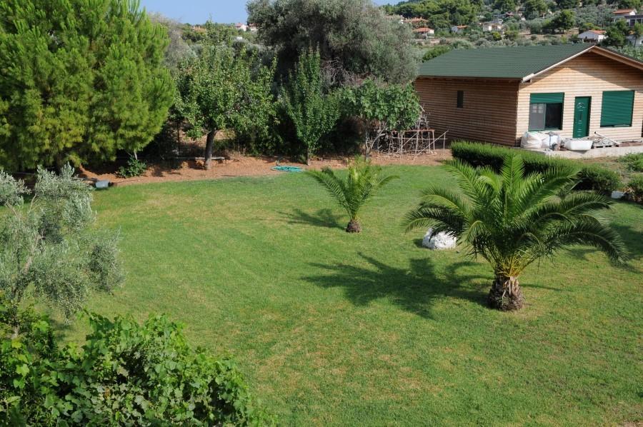فندق Delfini ثيولوغوس الغرفة الصورة